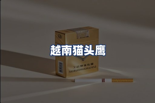 越南猫头鹰
